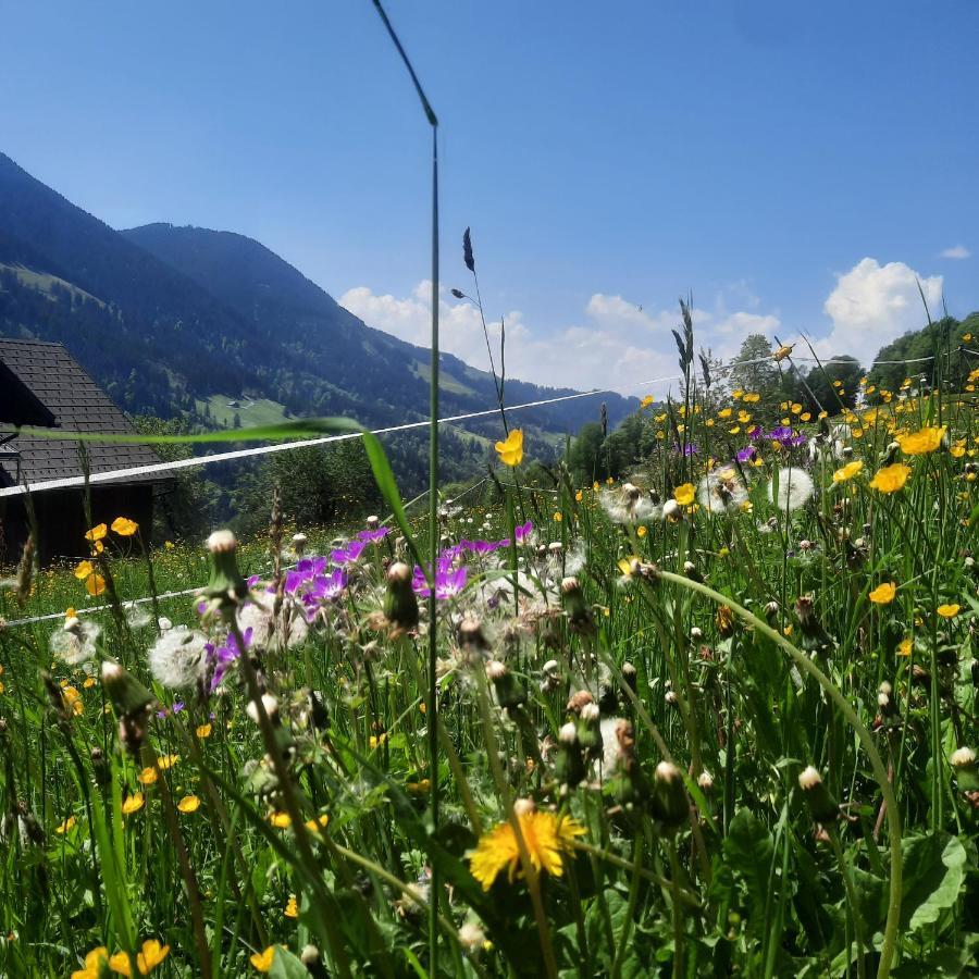 Sunnaschi Appartements - Wohnungen Oder Gesamt Als "Huette" Латернс Екстер'єр фото