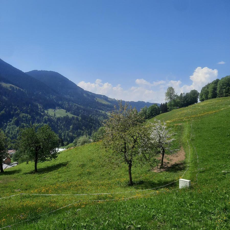 Sunnaschi Appartements - Wohnungen Oder Gesamt Als "Huette" Латернс Екстер'єр фото