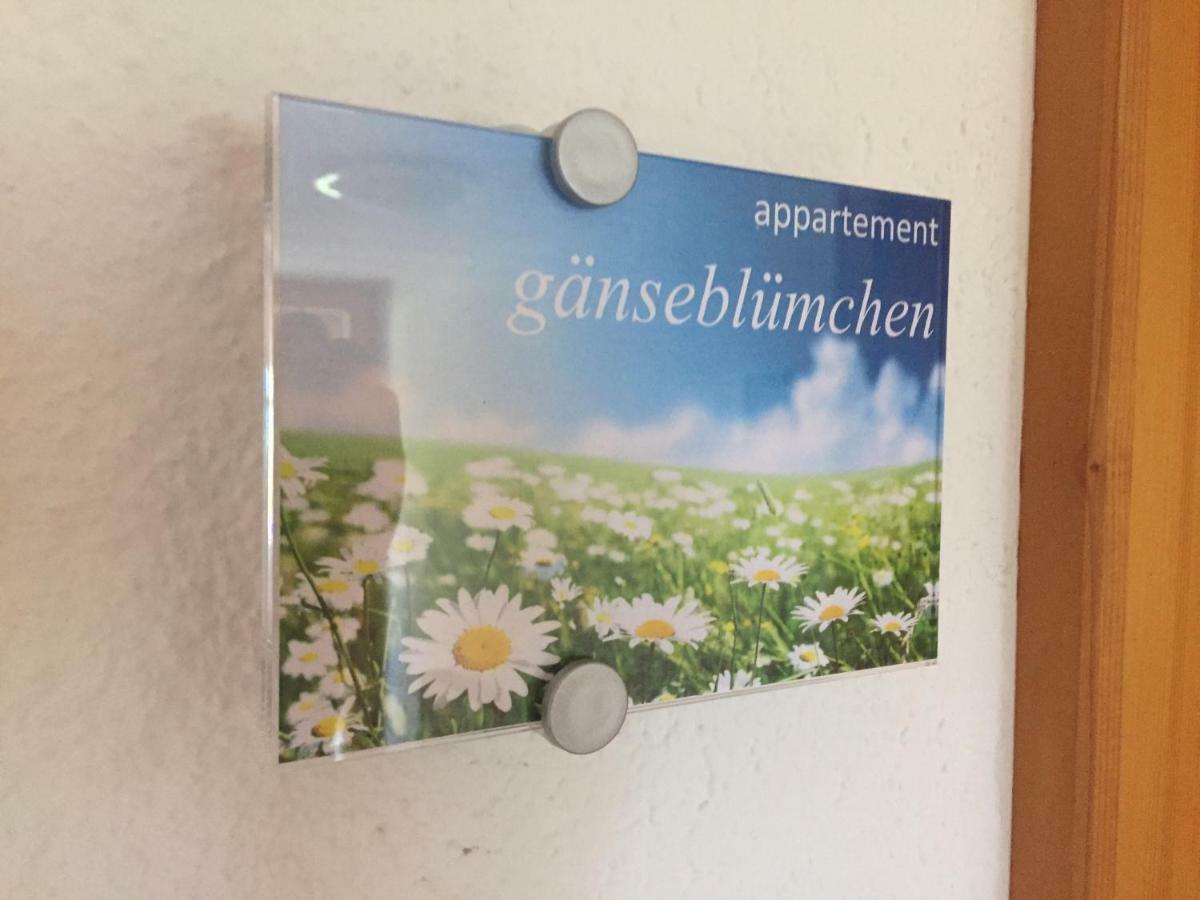 Sunnaschi Appartements - Wohnungen Oder Gesamt Als "Huette" Латернс Екстер'єр фото