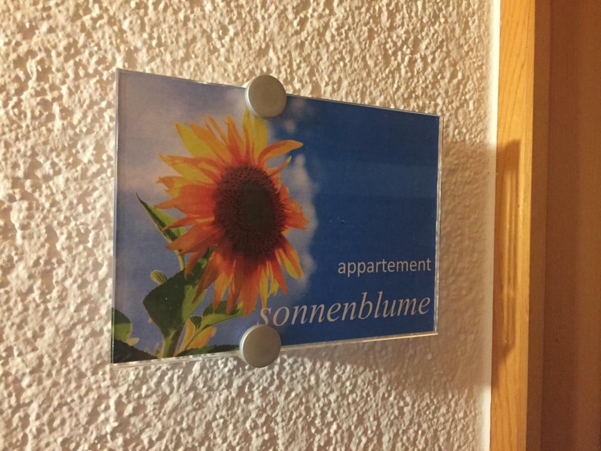 Sunnaschi Appartements - Wohnungen Oder Gesamt Als "Huette" Латернс Екстер'єр фото